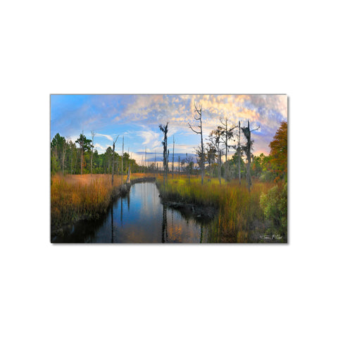 Cape Fear NC Marshes - Museum Quality Giclee Canvas Print Stretched