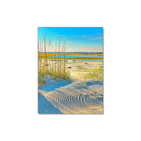 Sea Oats on the Beach - Museum Quality Giclee Canvas Print Stretched