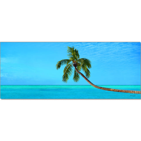 Tropical Palm Tree - Museum Quality Giclee Canvas Print Stretched