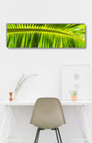 Tropical Shade - Steve Vaughn - Museum Quality Print - Canvas Giclee Wall Art - Stretched, Ready to Hang