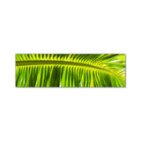 Tropical Shade - Steve Vaughn - Museum Quality Print - Canvas Giclee Wall Art - Stretched, Ready to Hang