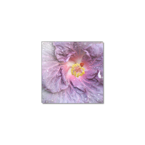 Purple Hibiscus Close Up - Museum Quality Giclee Canvas Print Stretched