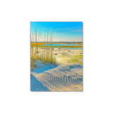 Sea Oats on the Beach - Museum Quality Giclee Canvas Print Stretched