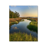 Golden Marshes Cape Fear - Museum Quality Giclee Canvas Print Stretched