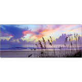 Sea Oats Sunrise - Museum Quality Giclee Canvas Print Stretched