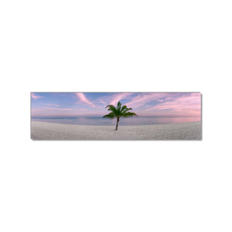 The Perfect Palm, Key West - Museum Quality Giclee Canvas Print Stretched
