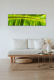 Tropical Shade - Steve Vaughn - Museum Quality Print - Canvas Giclee Wall Art - Stretched, Ready to Hang